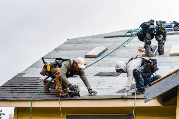 Professional Gutter Installation technician working in Genoa, AR